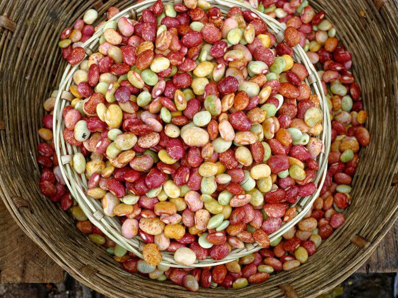 Premium Export Beans