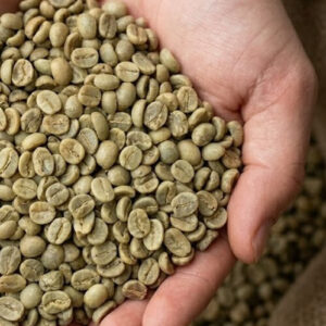 AA Arabica Natural Green Coffee