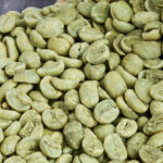 Elephant Bean (E-Grade) Washed Green Coffee