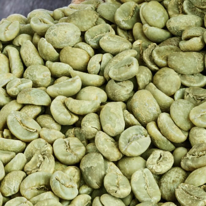 Screenshot_7 Elephant Bean (E-Grade) Washed Green Coffee - Image 1