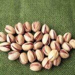 Fandoghi Round In-Shell Pistachios