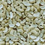 LWP Large White Pieces Cashew Kernels