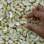 LWP Large White Pieces Cashew Kernels - Image 2