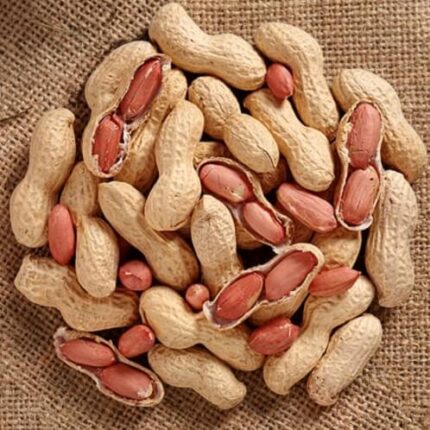 Virginia Raw In-Shell Peanuts