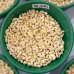 W240 Jumbo White Whole Cashews