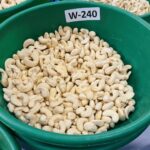 W240 Jumbo White Whole Cashews - Image 2